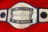 employee of the month championship belt