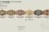 Evolution of WWE Tag Team Belts