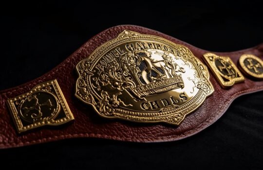 Boxing Belt