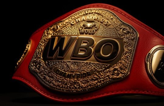 WBO Belt